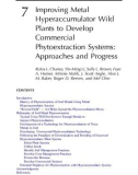 Phytoremediation of Contaminated Soil and Water - Chapter 7