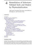 Phytoremediation of Contaminated Soil and Water - Chapter 4