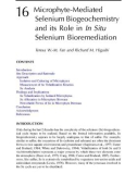 Phytoremediation of Contaminated Soil and Water - Chapter 16