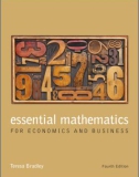 Ebook Essential Mathematics for Economics and Business - Part 1