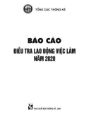 Báo cáo điều tra lao động việc làm năm 2020