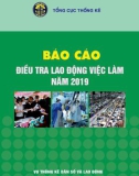 Báo cáo điều tra lao động việc làm năm 2019