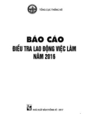 Báo cáo điều tra lao động việc làm năm 2016