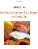 Bài giảng Vi sinh vật thực phẩm - Chương 10: Một số loài vi sinh vật gây bệnh thường gặp