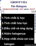 Bài giảng Hóa học - Chương 3: The Halogens