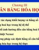 Bài giảng Hóa lý 1 - Chương 3: Cân bằng hóa học