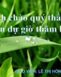 Bài giảng Động học chất điểm - Bài: Ôn tập chương 1