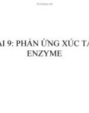 Bài giảng Hoá lý 2 - Bài 9 (Phần 2: Động hoá học)