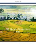 Bài giảng Kinh tế và quản lý môi trường: Chương 1 - Nguyễn Quang Hồng