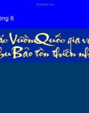 Bài giảng Bảo tồn đa dạng sinh học: Chương 6 - TS. Viên Ngọc Nam