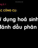 Bài giảng Bảo tồn đa dạng sinh học: Chương 5.1 - TS. Viên Ngọc Nam