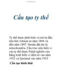 Cấu tạo ty thể