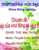 Bài thuyết trình - Chuyên đề: Sao chép của virut động và virut thực vật