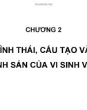 Bài giảng Vi sinh đại cương: Chương 2 - Đào Hồng Hà