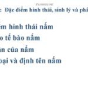 Bài giảng Vi sinh vật học: Chương 3 - Đặc điểm hình thái, sinh lý và phân loại nấm