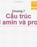 Bài giảng Hóa sinh – Chương 7: Cấu trúc acid amin và protein