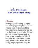 Cấu trúc nano: Bàn chân thạch sùng