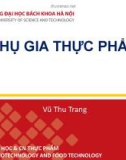 Bài giảng Phụ gia thực phẩm: Phần 2 - Vũ Thu Trang