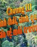 Hệ sinh thái và bảo vệ môi trường