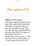 Thực nghiệm PCR