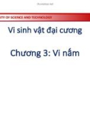 Bài giảng Vi sinh vật: Chương 3 - Phạm Tuấn Anh