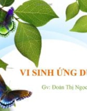 Bài giảng Vi sinh ứng dụng: Chương 1 - GV. Đoàn Thị Ngọc Thanh