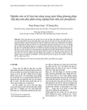 Nghiên cứu xử lý kim loại nặng trong nước bằng phương pháp hấp phụ trên phụ phẩm nông nghiệp biến tính axit photphoric