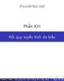 Bài giảng Xác suất thống kê và ứng dụng: Phần 13 - Phan Thanh Hồng