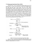 Giáo trình Vi sinh vật học part 10