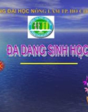 Bài báo cáo đa dạng sinh học