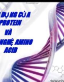 Bài giảng Ứng dung của protein và công nghệ amino acid