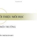 Bài giảng Hóa môi trường: Chương 1 - GV. Ngô Xuân Huy