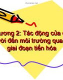 Bài giảng Chương 2: Tác động của con người đến môi trường qua các giai đoạn tiến hóa