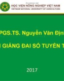 Bài giảng Đại số tuyến tính: Chương 2 - PGS.TS. Nguyễn Văn Định