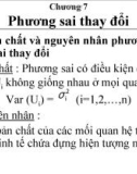 Bài giảng Chương 7: Phương sai thay đổi