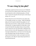 Vì sao rừng bị tàn phá?