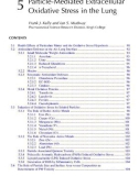 Particle Toxicology - Chapter 5