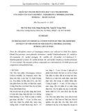 Khảo sát thành phần hóa học cao Chloroform của thân cây Xáo tam phân - Paramignya Trimera (Oliver) Burkill - Họ Rutaceae