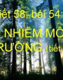 Ô NHIỄM MÔI TRƯỜNG