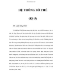 HỆ THỐNG BỔ THỂ (Kỳ 5)