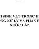 Bài giảng Vi sinh vật trong hệ thống xử lý và phân phối nước cấp