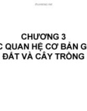 Bài giảng Độ phì nhiêu đất đai và phân bón - Chương 3: Các quan hệ cơ bản giữa đất và cây trồng