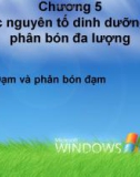 Bài giảng Độ phì nhiêu đất đai và phân bón - Chương 5: Các nguyên tố dinh dưỡng và phân bón đa lượng