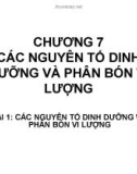 Bài giảng Độ phì nhiêu đất đai và phân bón - Chương 7: Các nguyên tố dinh dưỡng và phân bón vi lượng