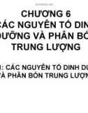 Bài giảng Độ phì nhiêu đất đai và phân bón - Chương 6: Các nguyên tố dinh dưỡng và phân bón trung lượng