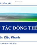 Xúc tác đồng thể - Trường đại học Bà Rịa Vũng Tàu