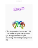 enzym