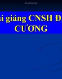 Bài giảng CNSH ĐẠI CƯƠNG