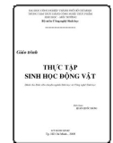 Giáo trình Thực tập sinh học động vật: Phần 1