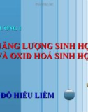 CHƯƠNG I: Năng lượng sinh học và oxid hóa sinh học